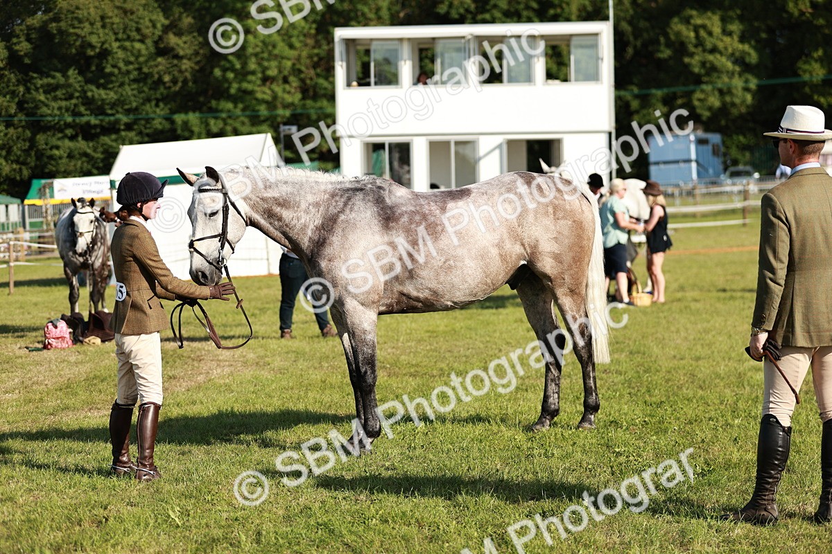 SBM_20034 - Class 115-116 - LIHS BSHA Rising Star Working Hunter & Show Horse