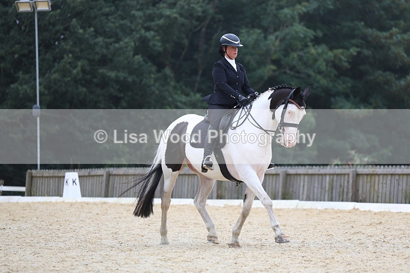 3E7A7396 - Class 9: Elementary 4 2024 - No sections