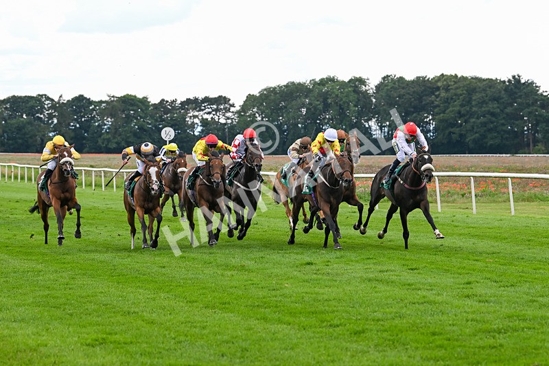 170724-Race 5-Abruzzo Mia-0223 - Race 5