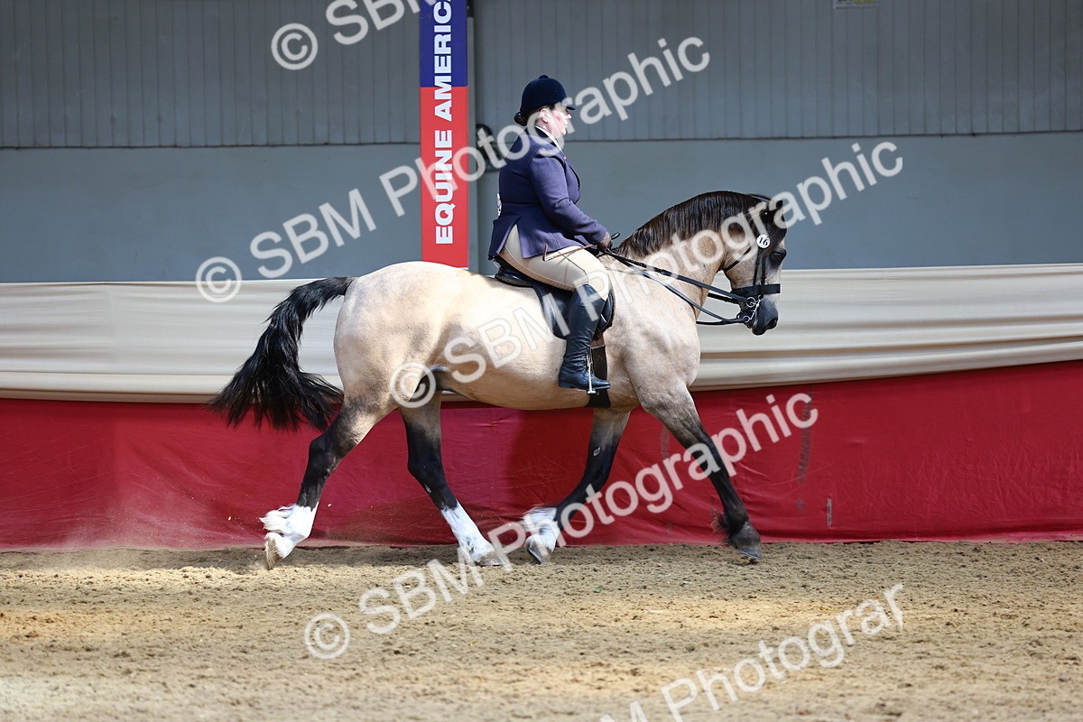 SBM_23263 - class 906 - Supreme Final - Ridden Pre Vet