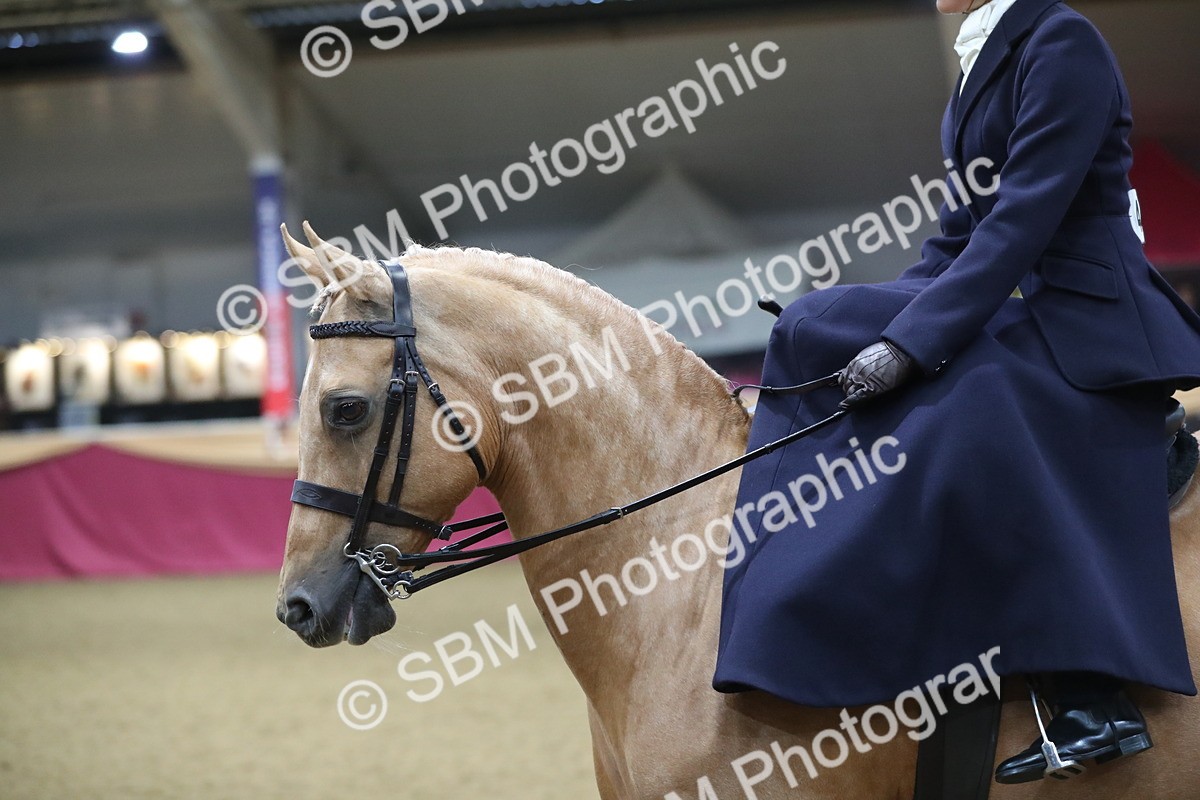 SBM_09336 - Class 101 Equitation (best rider), Junior