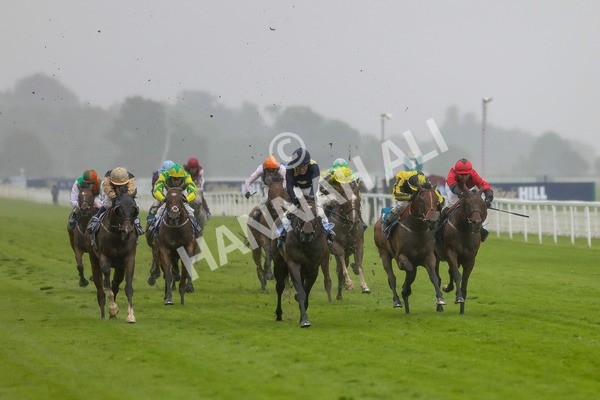 140723-Race 5-Monte Linas-8599 - Race 5 4.25pm Coopers Marquees Handicap