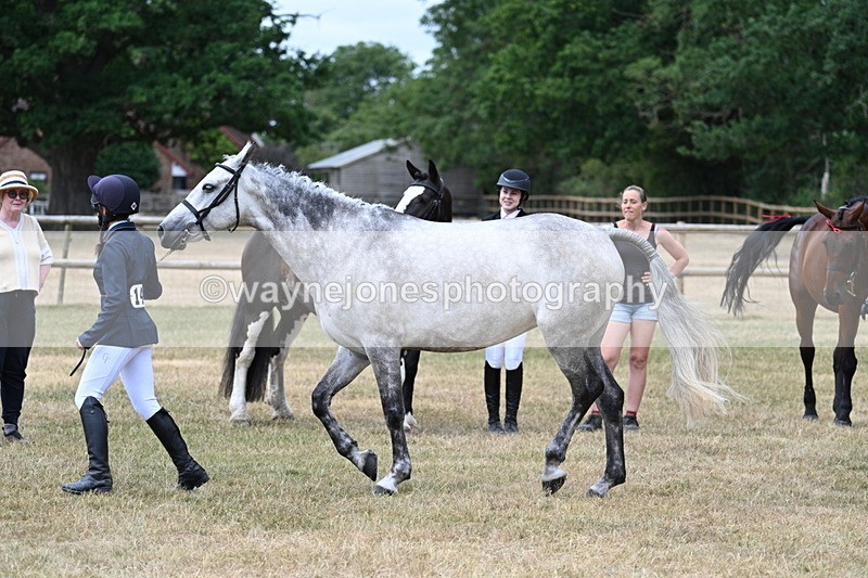 WJ7_1885 - Class 4a Prettiest Mare 14.2hh and over hand