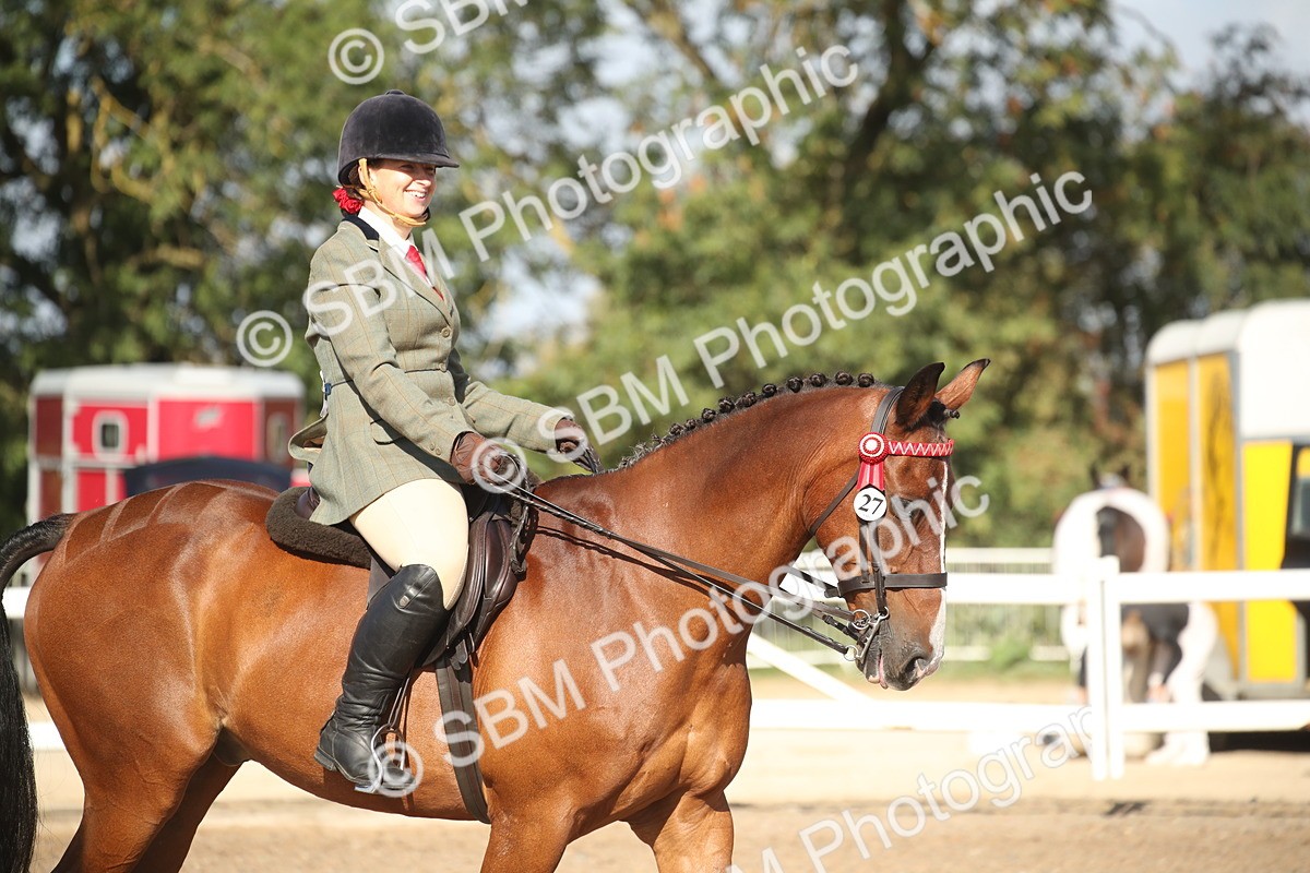 SBM_22706 - Class 601 - 2026 - Area - Ridden Diamond