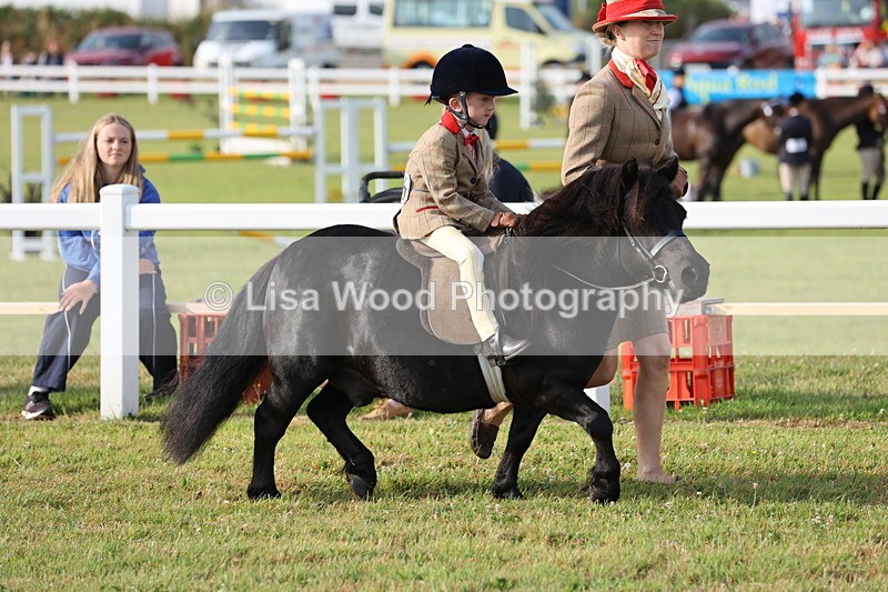 JPP_0296 - Class 14: Cornish Combination Leading Rein