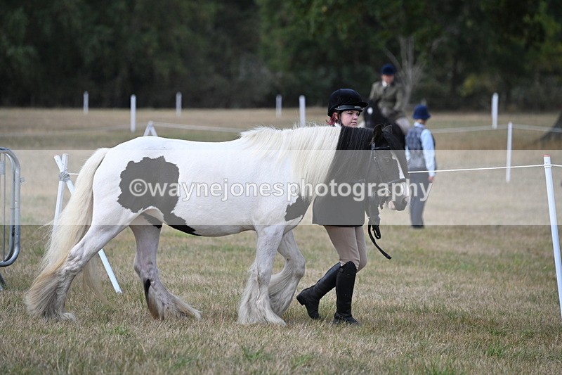 WJ6_6399 - Class 20 In-hand Cob