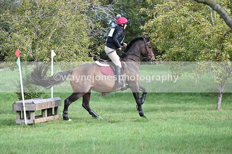 WJ7_8319 - 60cm Pairs