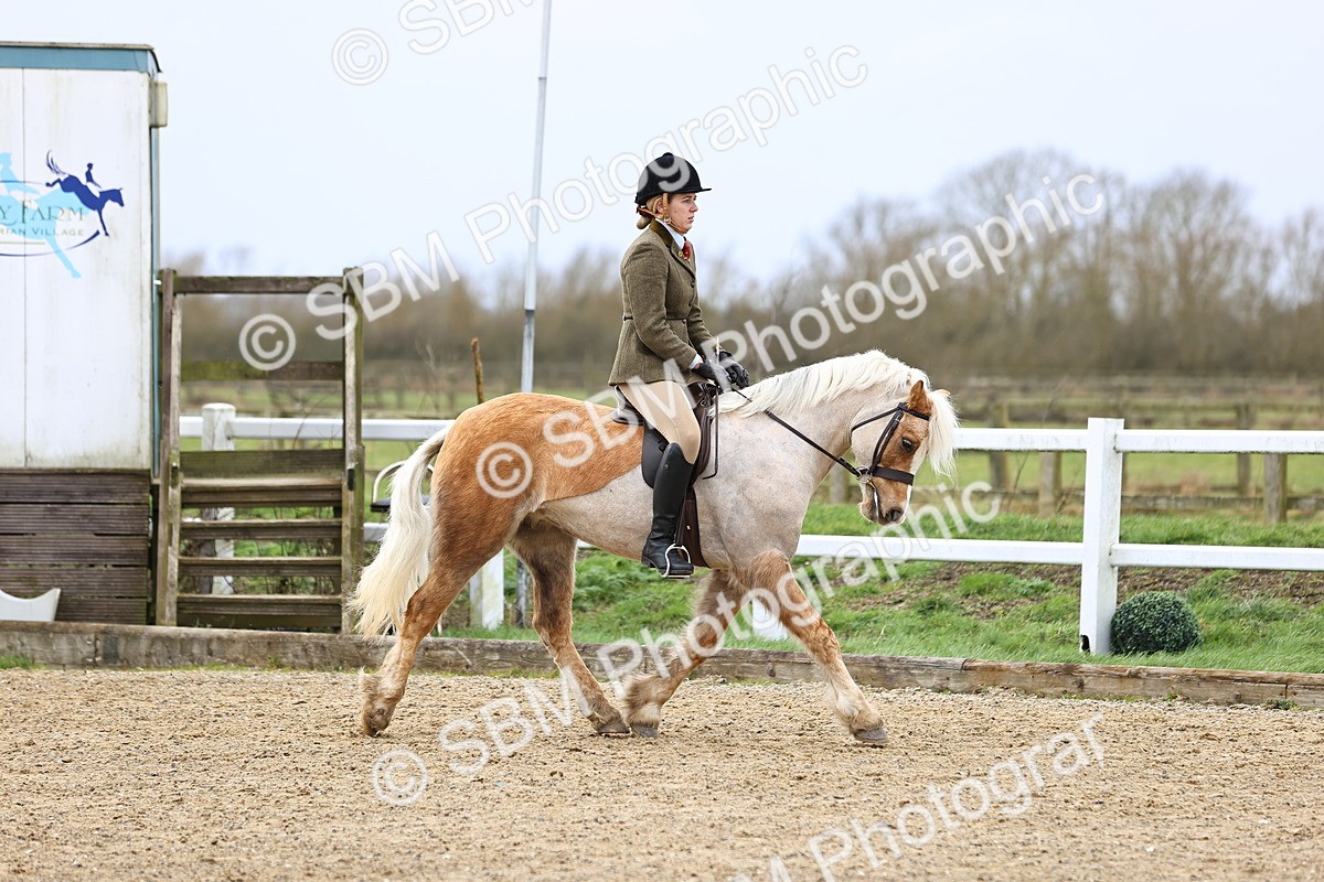 SBM_006891 - Class 29 - 30 - M&M Pure Novice Small-Large Breeds