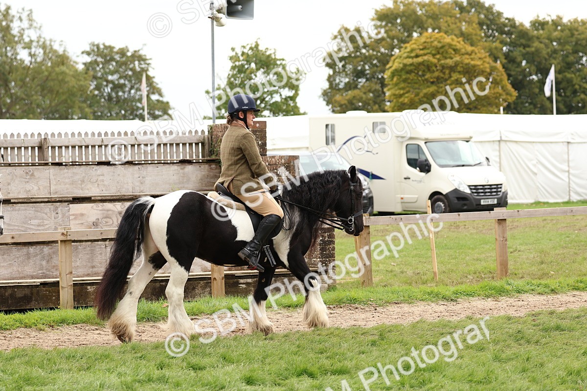 SBM_64398 - S58 - Coloured Pony Ridden