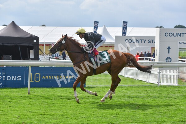 yr20082021r2-65 - Race 2 2.25pm Weatherbys Hamilton Lonsdale Cup (British Champion Series race)