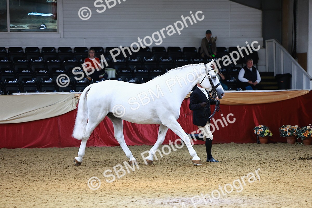 SBM_23257 - Class 903 - Supreme Final - IH Pre Vet