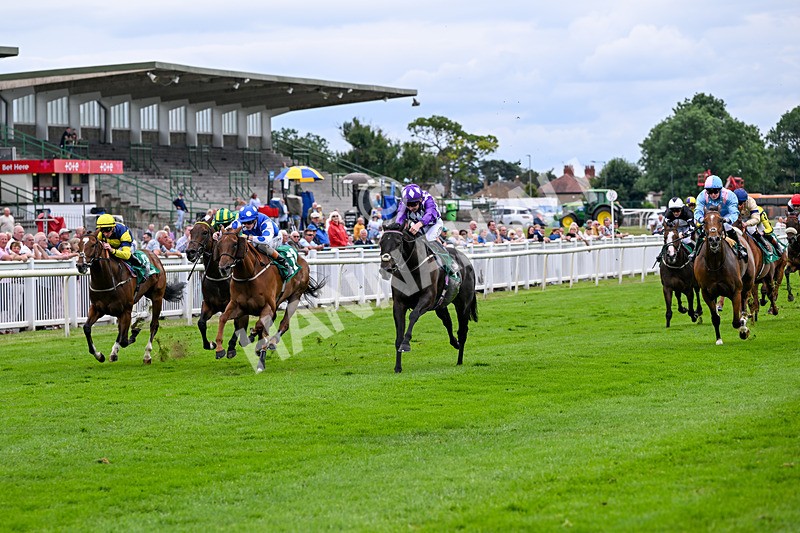 010726-Race 7-Indian Run-8870 - Race 7 16.10pm Weatherbys Global Stallions App Handicap