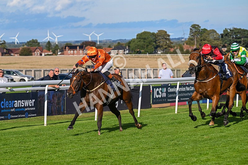 170925-Race 6-Elegant Erin-5795 - Race 6