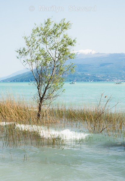 Lake Garda-26 - Lake Garda, Verona and Venice