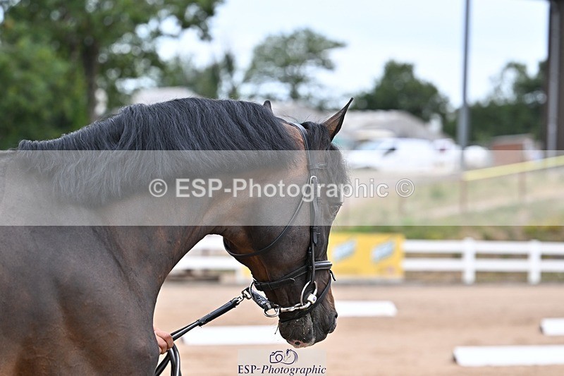 250716-134103-00629 - Trot Up 1.30 to 2.30