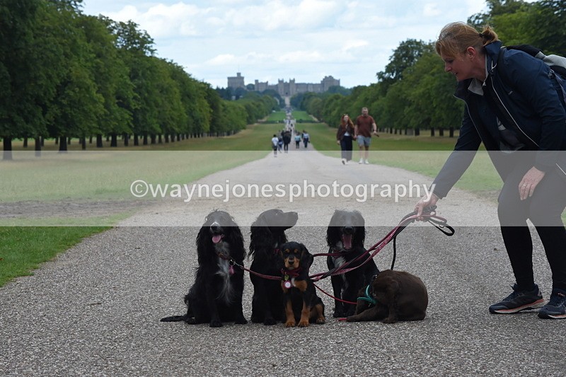 TT3_0477 - Time at Crossing 14:53 to 1526