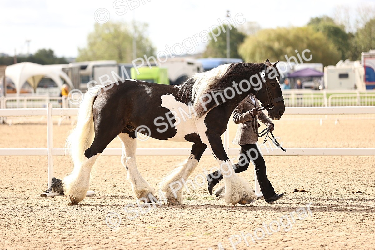 SBM_09289 - Class 404 - IH Traditional - Native Cob
