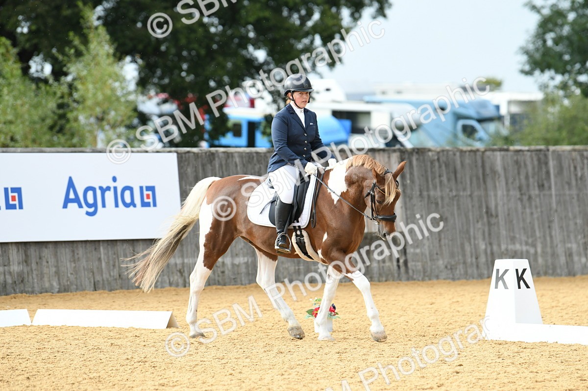 SBM_11062 - D28 Elementary Taster Elementary 42