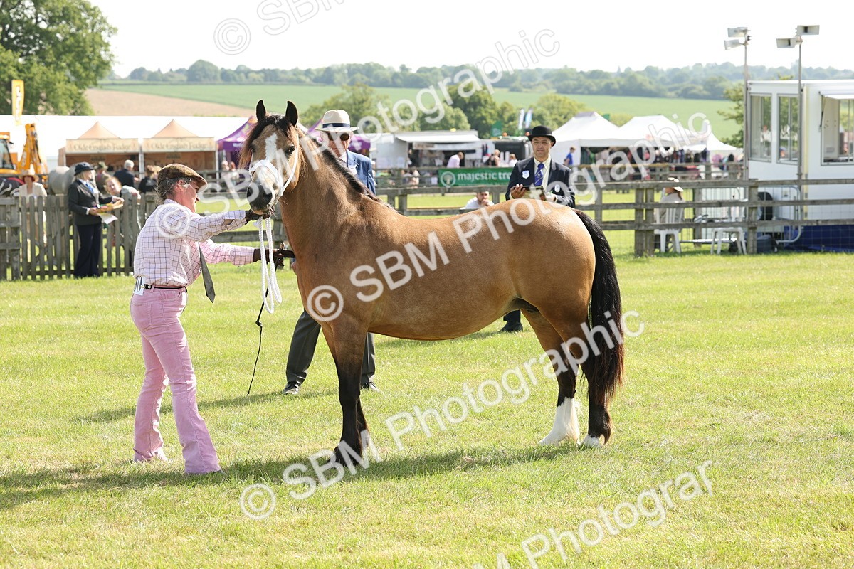 SBM_02119 - Class 6-13 - Mountatin and Moorland In Hand Welsh Breeds