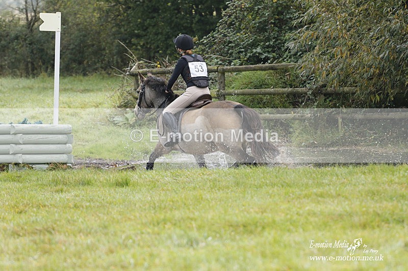  WWHT 171021 0729 - Open Novice (0.80m)  17/10/21