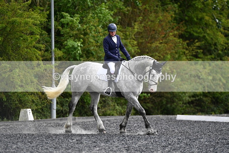 WJ5_2239 - Time 15:05 to 15:30