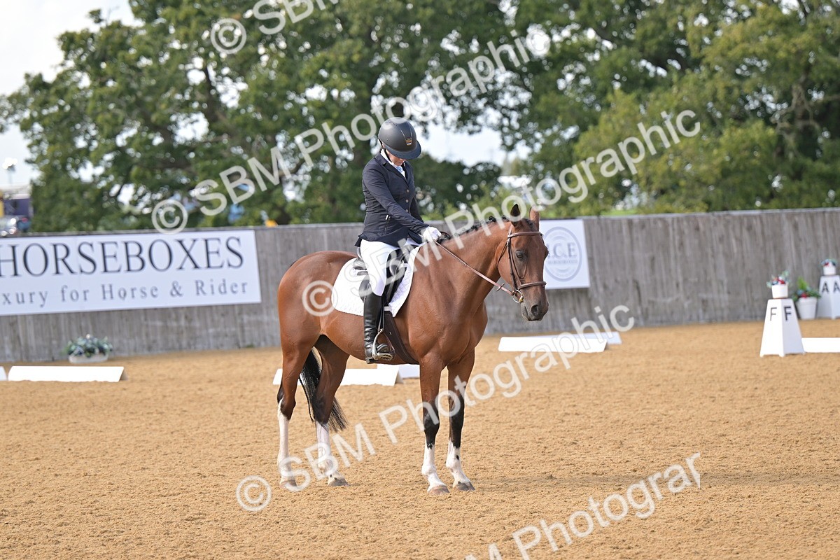 SBM_11127 - D3 - Small Tour Championship Intro 3