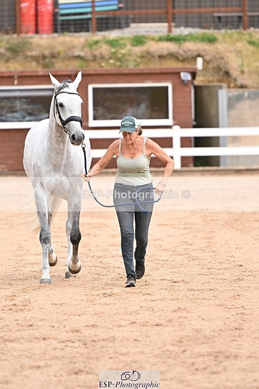 250716-151017-01714 - Trot Up 2.30 to 3.30