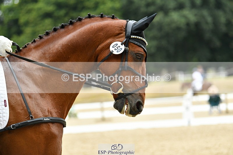 250718A-112933-01131 - 050-Dan.Andrews-Galopin.B