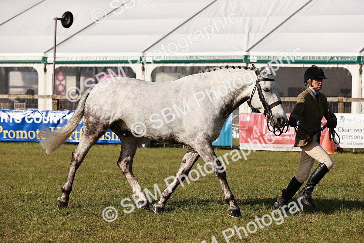 SBM_10816 - Class 81-84 - RIHS Ridden hunters Inc Ladies Hunter
