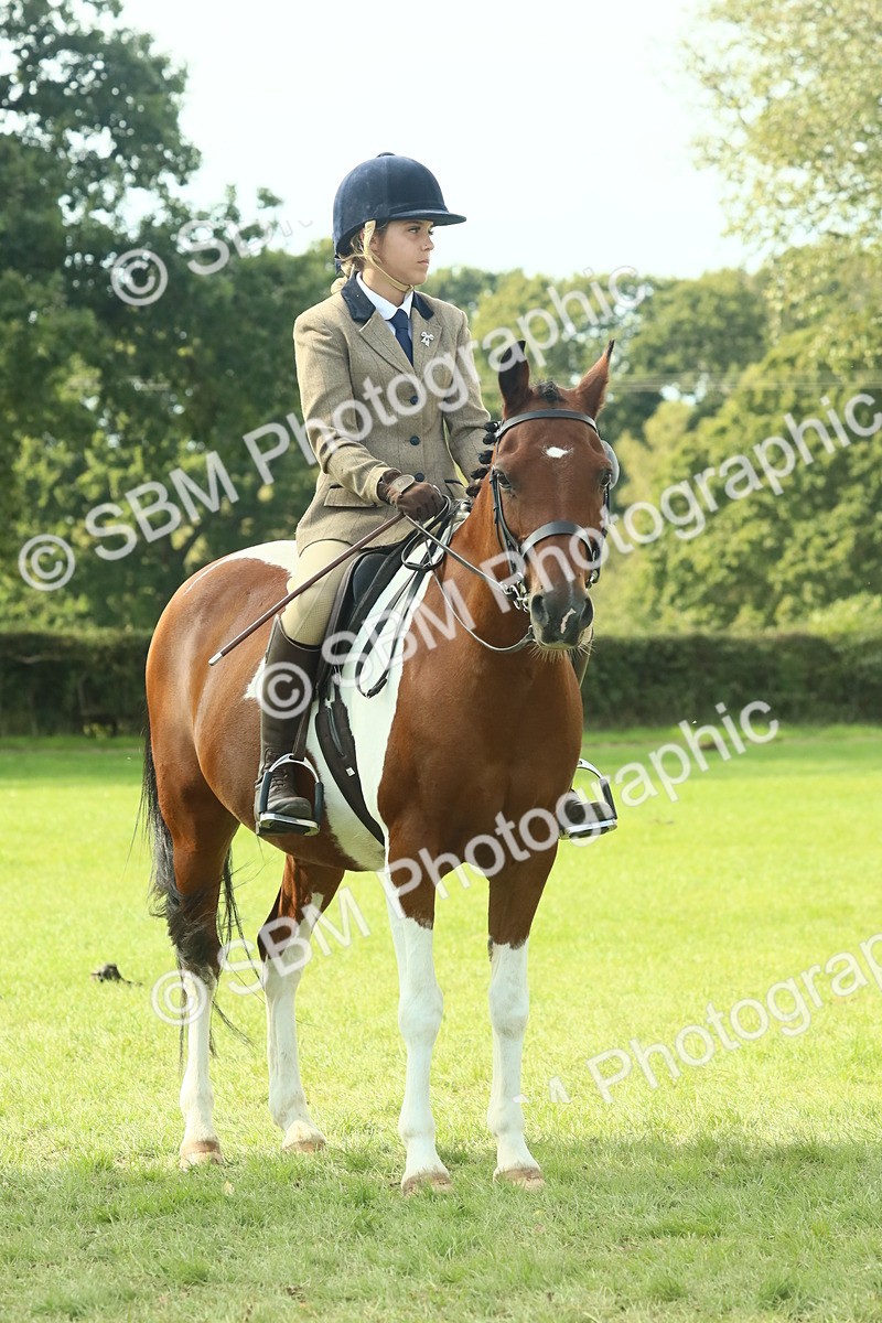 SBM_68935 - S58 - Mini Show Cob Ridden