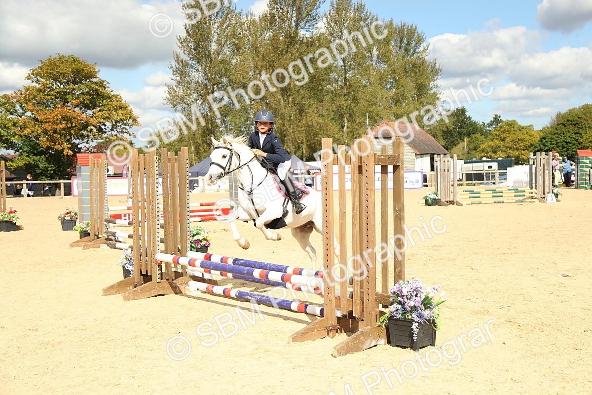 SBM_41340 - J6 - Junior Pony 55cm Championships