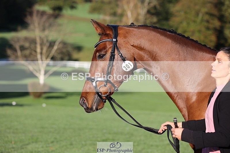 241027-085435-14890 - 301-Ilaria.Serra-DREAM.MACHINE