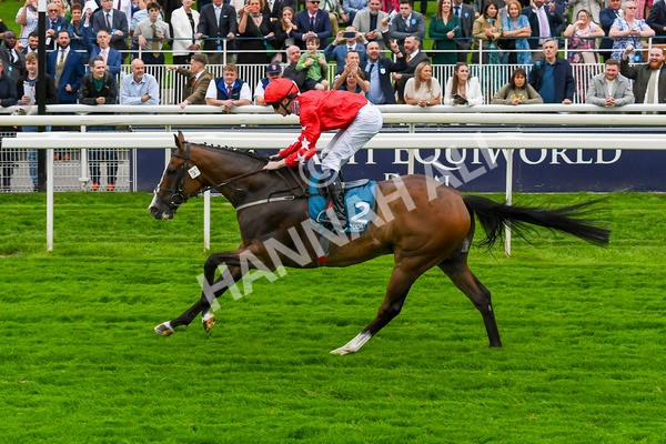 280723-Race 6-Spirit Dancer-0672 - Race 6 7.50pm Sky Bet Extra Places Every Day Handicap