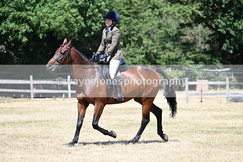 WJ7_3065 - Class 7 Riding Club Show Horse
