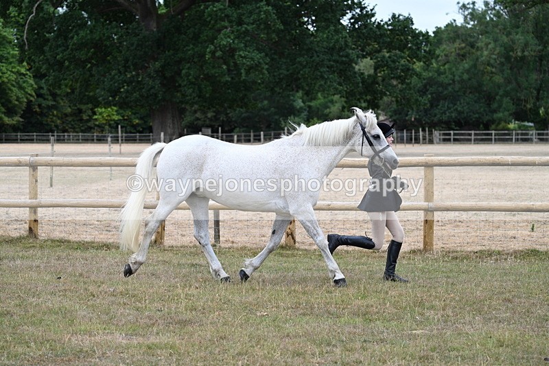 WJ7_8735 - Class 4a Prettiest Mare 14.2hh and over