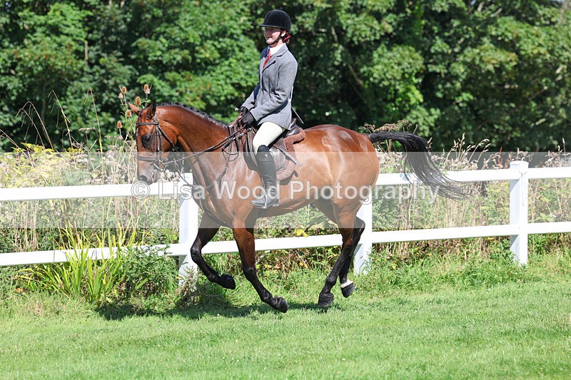 3E7A8402 - Class 4: Novice working Hunter