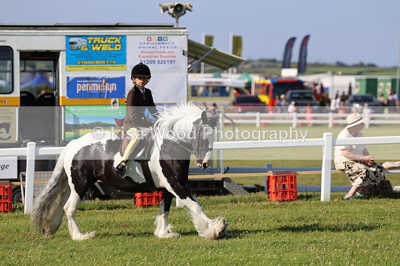 IMG_1503 - Class 30: Ridden Native/Trad Coloured Pony