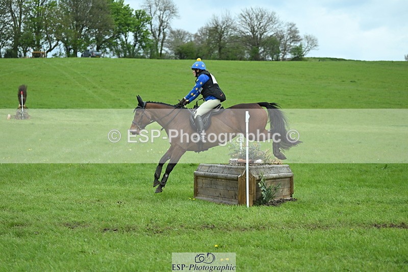 250419-151454-12177 - 717-Helen.Buckland-LIVERMORES.MIDNIGHT.DIAMOND