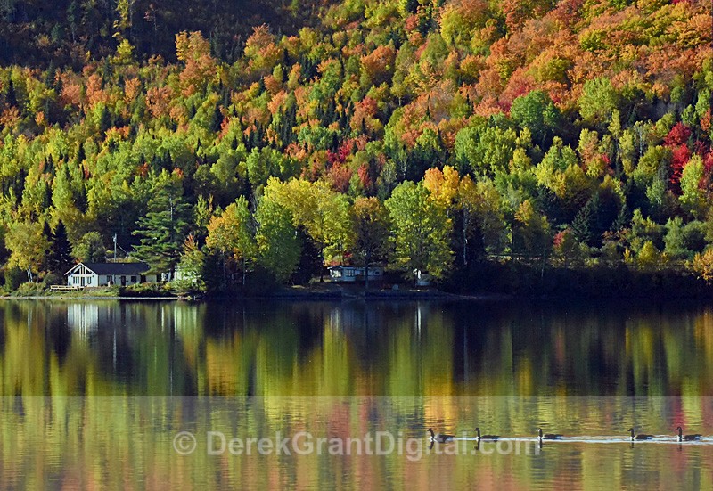 Autumn Foliage New Brunswick Canada - Autumn Foliage