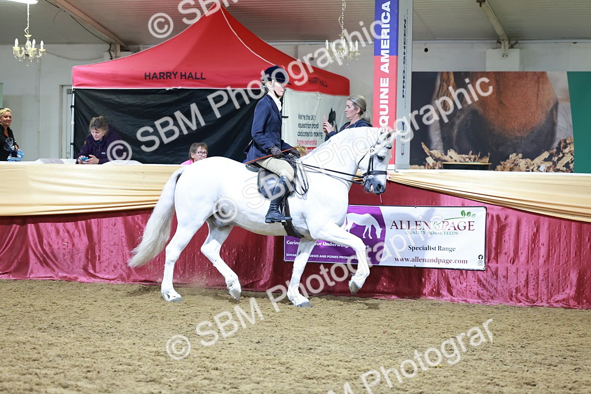 SBM_21068 - Class P - M&M Champs