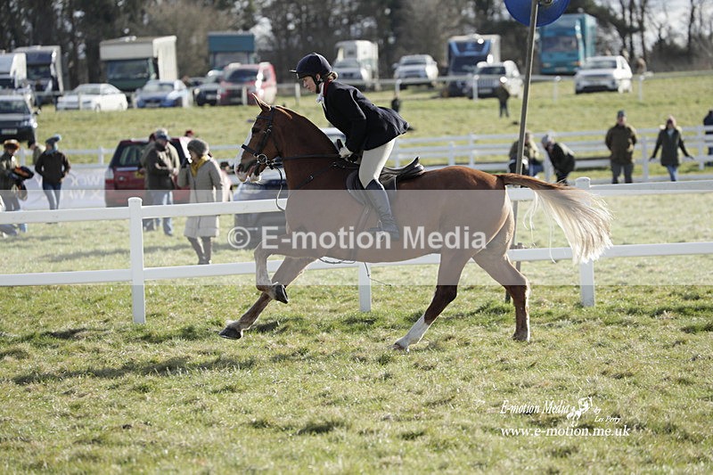 PtP 260223 928 - South & West Wilts Point-to-Point Larkhill 26/02/23