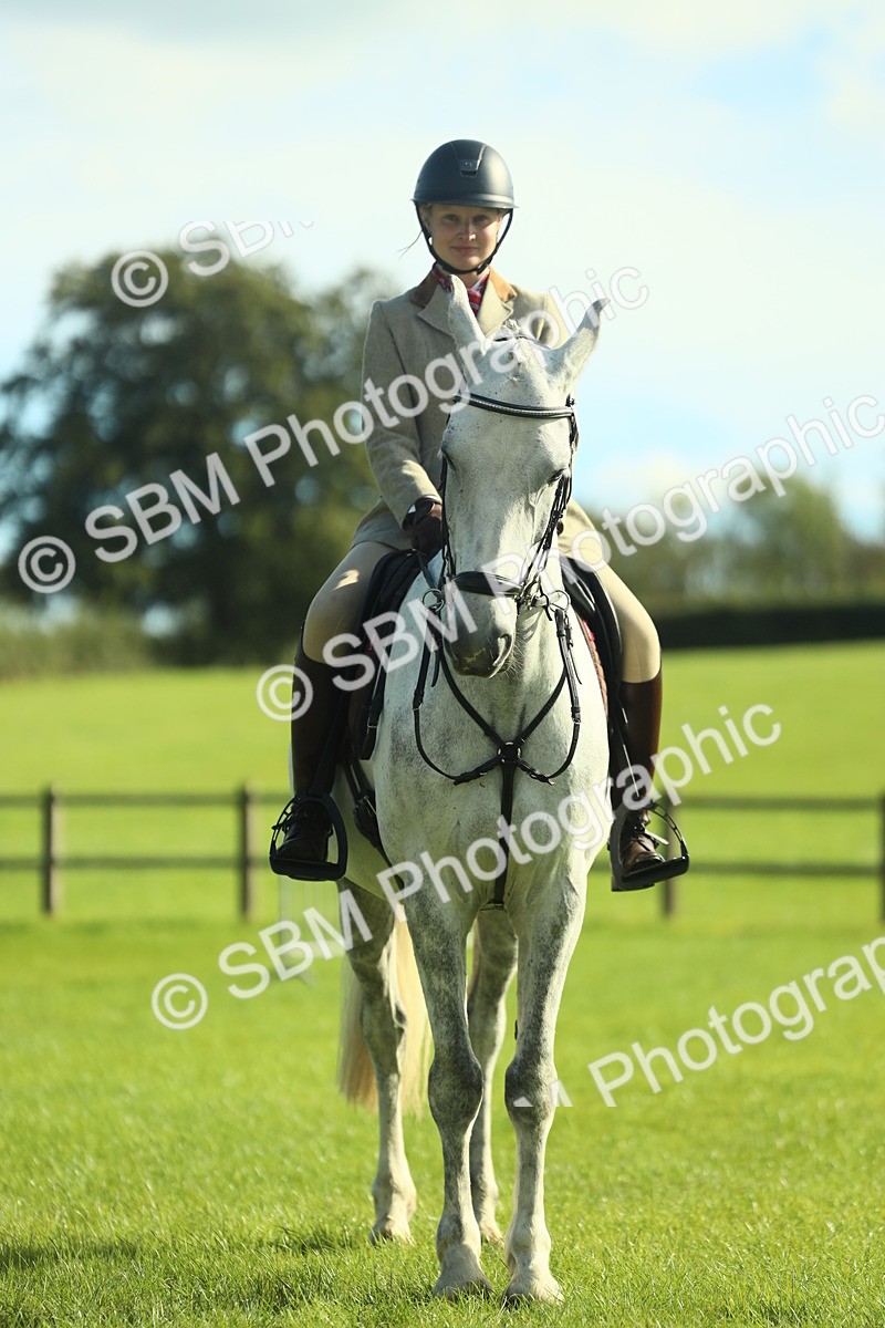 SBM_49894 - S32 - Novice & Newcomers Working Hunter