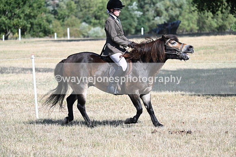 WJ7_3489 - Class 9 Mountain & Moorland Ridden
