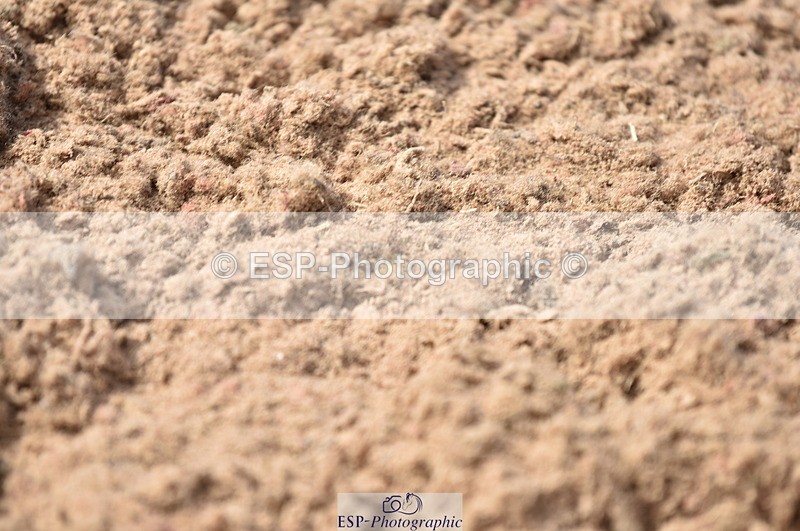 230810A-104622-00731 - Cls 9 Foxhunter