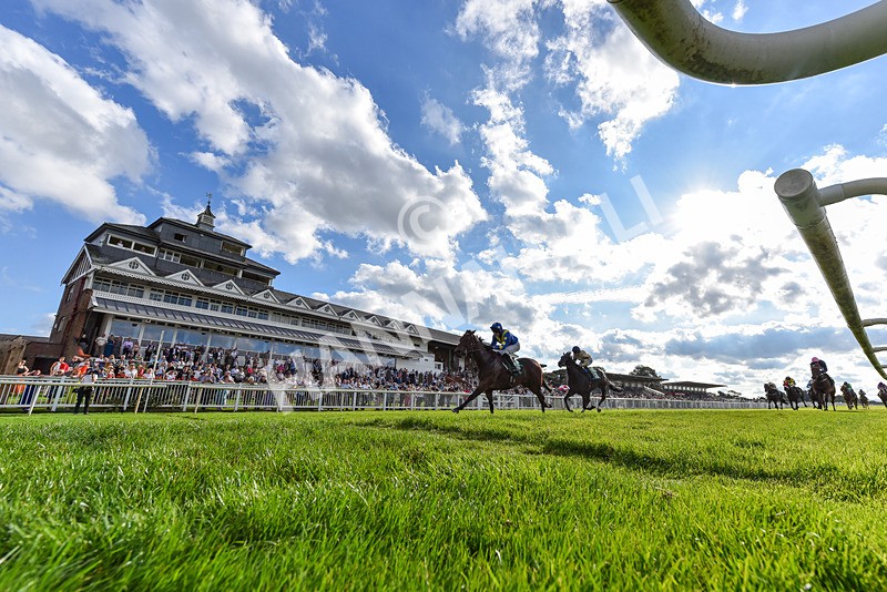 140926-Race 5-Mo Anam Chara-2 - Race 5 4.21pm decronhorsecare.co.uk Handicap