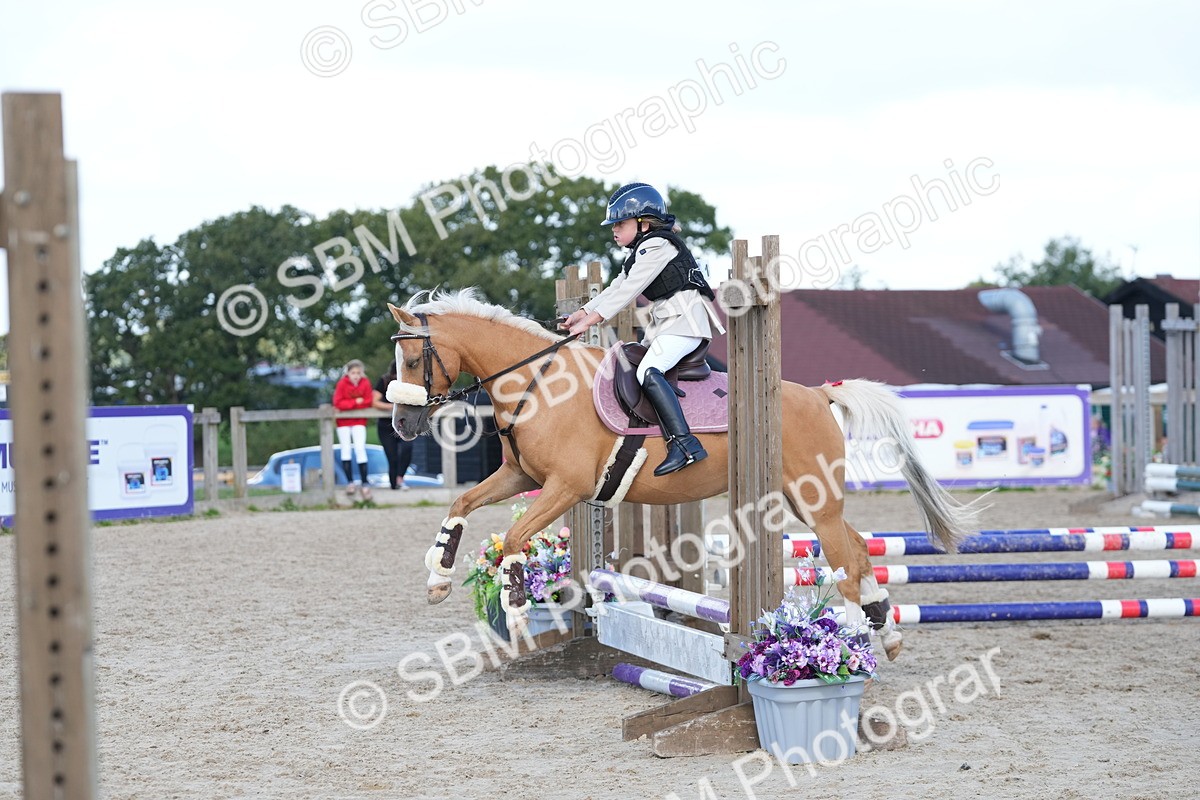 SBM_18173 - J58 - Clear Round 50cm