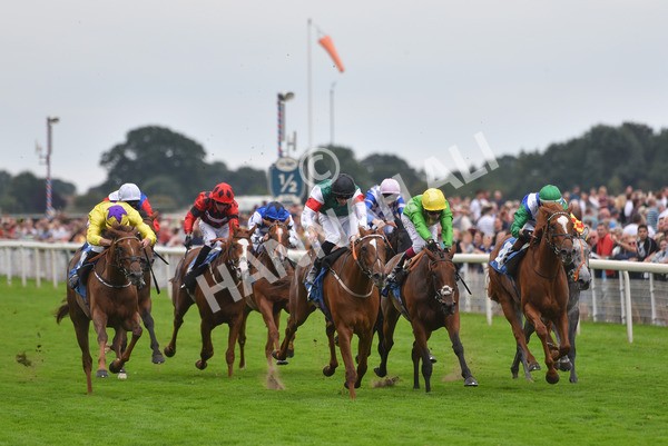 yr20082021r6-30 - Race 6 4.40pm Assured Data Protection British EBF Fillies' Stakes