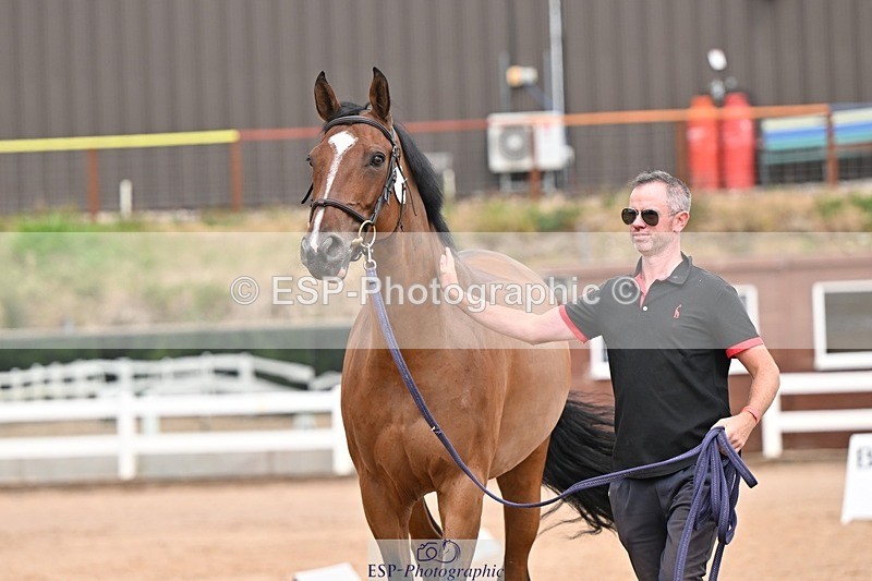 250716-162124-02595 - Trot Up 3.30 to 4.30