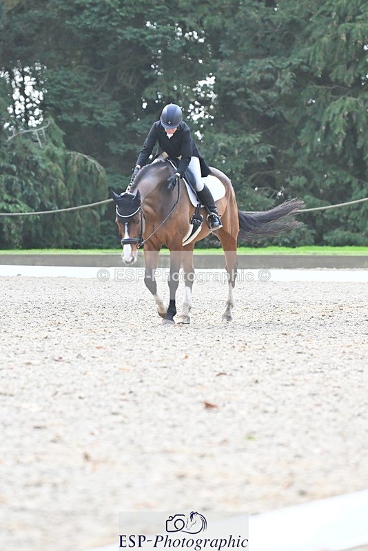 231019-110656-02054 - 105-BRIGHT.KNIGHT.III-Janet.Clarke-DR