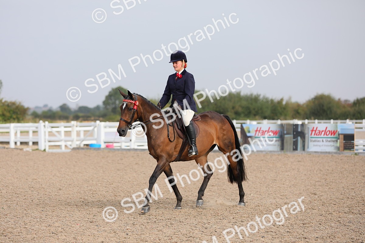 SBM_10686 - Class 303 Ridden Pure Bred Horse/Pony (excl M&M)